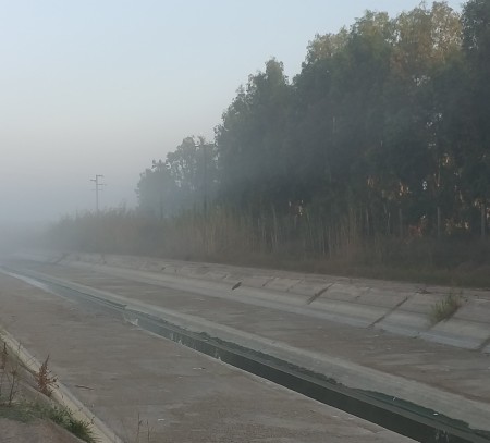 319a6b58175c8348e5b537a311344d30_M