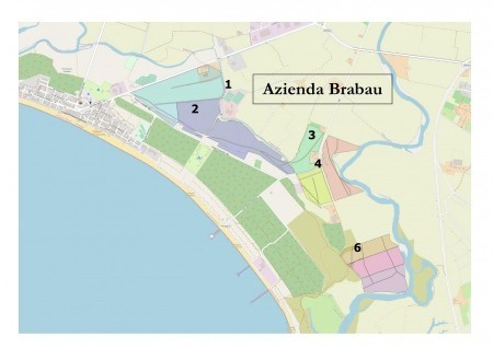 55d4420dd6cd56f2e756dd2f75804f62_M