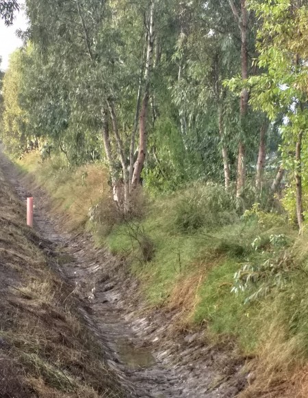 57df6a0f34180006582f429068c6ac21_M