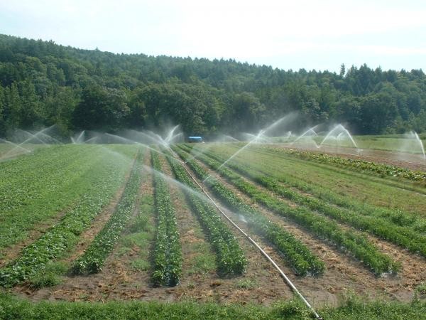 cd04214d115e7a754daa198b57282145_L