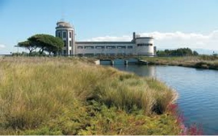 dca6745fdbb9da5b038270324f6ced2f_M