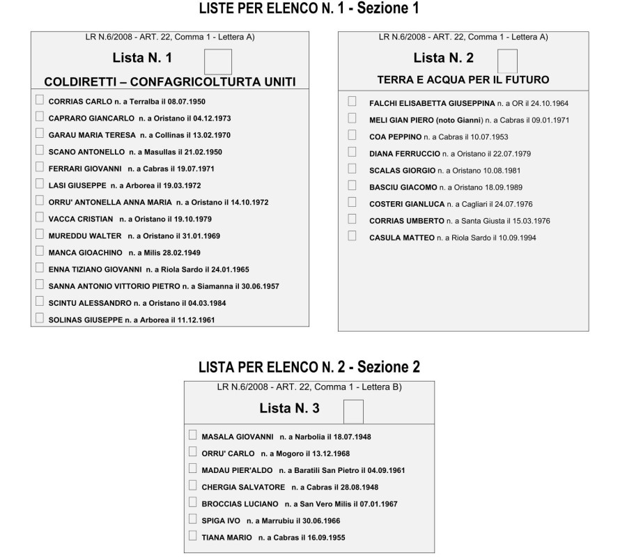 elenchi elezioni rinnovo consiglio