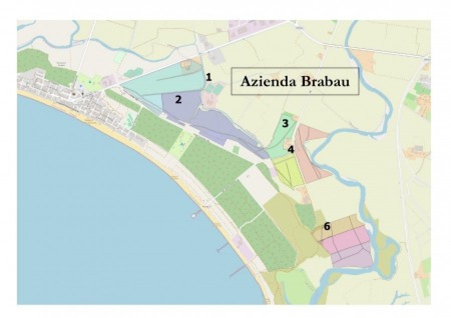 755a09762452d6eb5c314d532540d319_XL